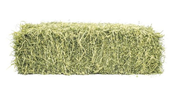 Timothy Premium Hay 3 Tie Bale