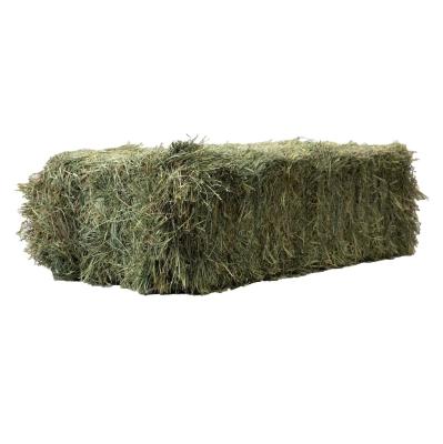 Orchard Premium Hay 3 Tie Bale
